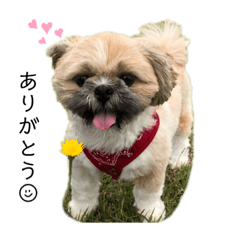 sumire_20190912215158