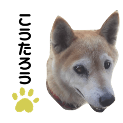 ARISA_20190912214632