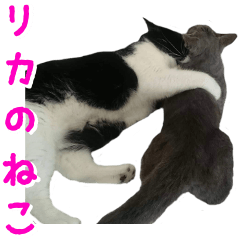 RIKA's cat sticker