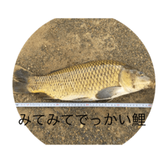 魚ルアスタンプ