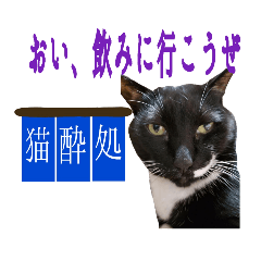 mamedaifuku_20190912222015