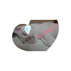 mayumi_20190913001032