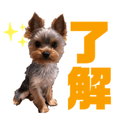 NANAna_20190913011421