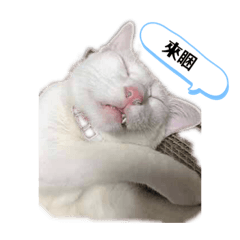 在不過啊