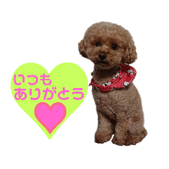 junko_20190913123244