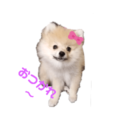 cherry_20190913130755