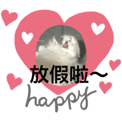 米雪日記