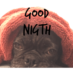 boo_20190913163245
