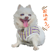 ichi_20190913174720