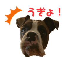 take_20190913182930
