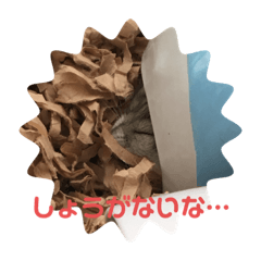 chiharu_20190913165705