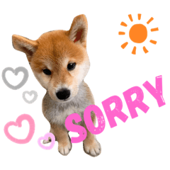 My Cute SUN Day Life
