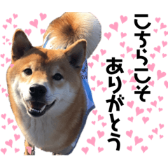 sally_20190913195918