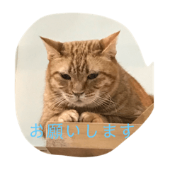 Hiyori_20190913211814