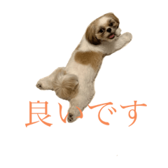 marina_20190913200901