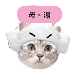 家有七小福