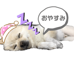riku_20190913174132
