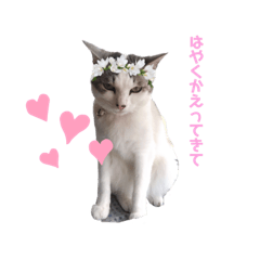 mimi_Love