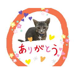 rinRin_20190913185644
