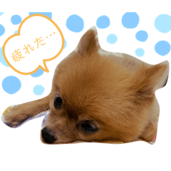 chan_20190913232835