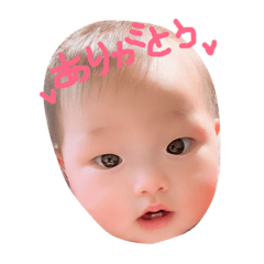 chiA bo-