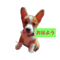 YK_20190914122125