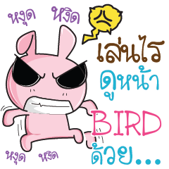 BIRD Rabbit naughty cute e