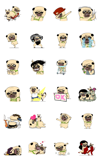 Mao Whatta Pug 3 (KS)