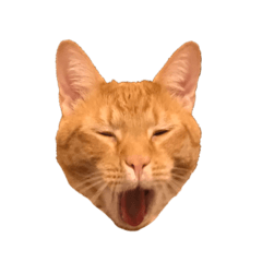 march_20190914163140