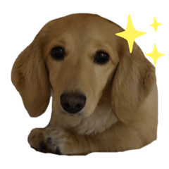 hana_20190914173107