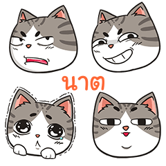 NAT7 trollcat emoji