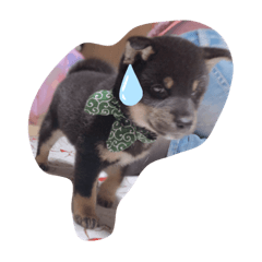 ayumi_20190914151043