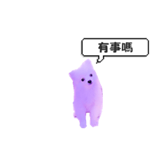 壞壞的毛小孩