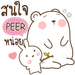 PEER Little Rabbit bully Bear e