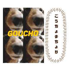 marina_20190909024431