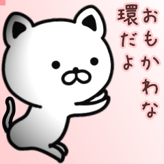 環さん専用面白可愛い名前スタンプ