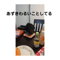 omochi_20190914210107