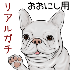 Oonishi Real Gachi Pug & Bulldog