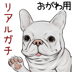 Ogawa Real Gachi Pug & Bulldog