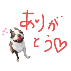 Ayumi_20190914203452