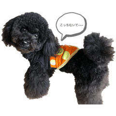 yukari_20190914231630