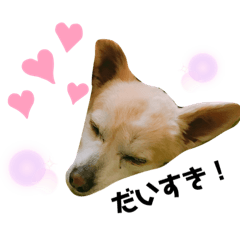 yuyu_20190914234845
