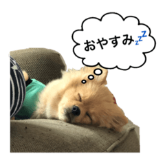 Hikaru_20190915002717
