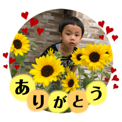 yN_20190915005734