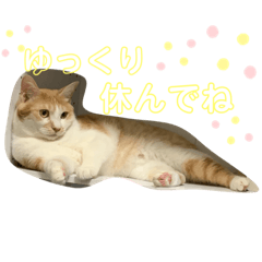 chan_20190915084524
