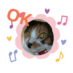 akiko_20190915111249