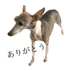 mizuki_20190915120811