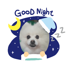 my dog is lovely
