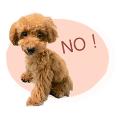 matsu_20190915013500