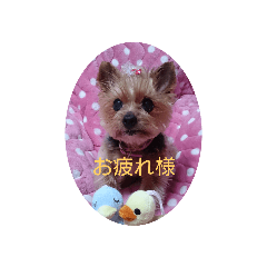 yocchan_20190915135645